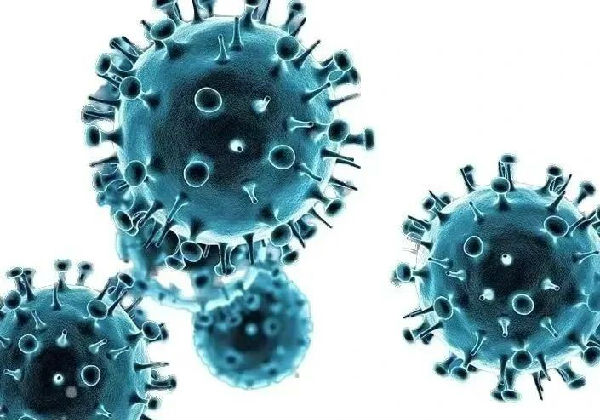 d2f793533008cc121f5f86cf51ea5dee